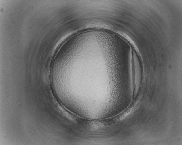 X0000063450799200601271538