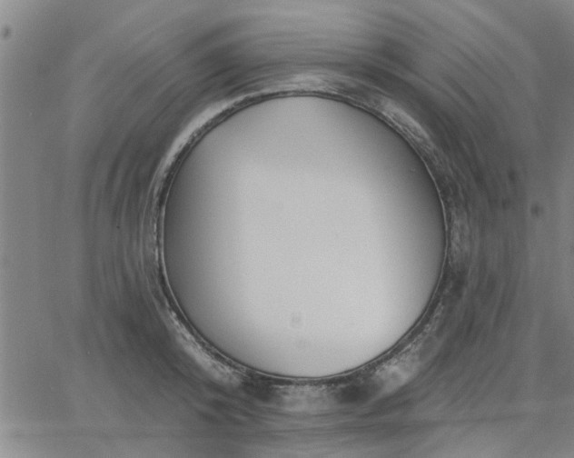 X0000063450800200601271538