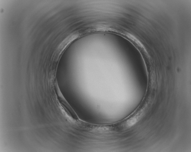 X0000063450801200601271537