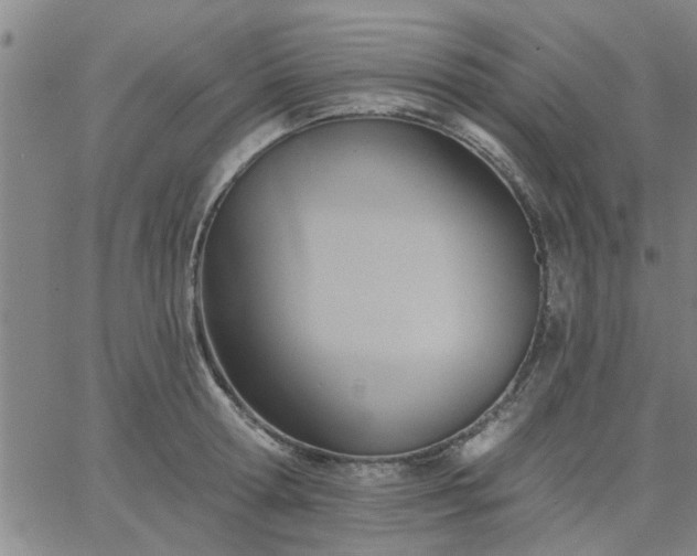 X0000063450802200601271537