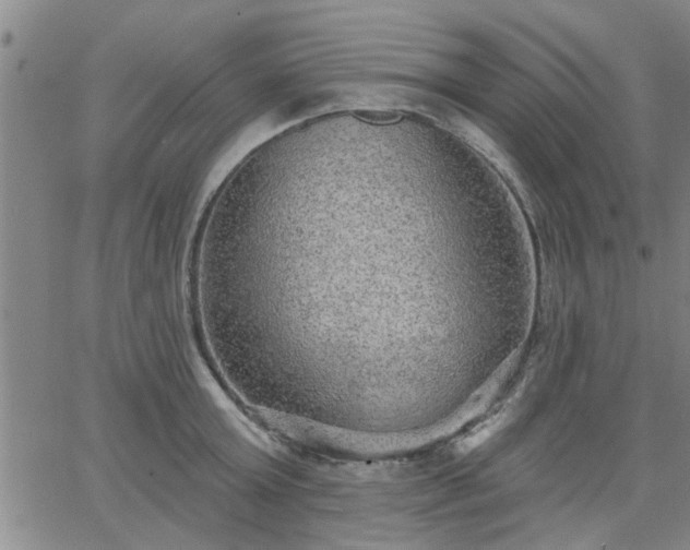 X0000063450803200601271537