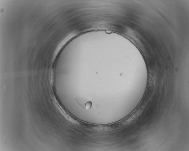 X0000063450804200601271537