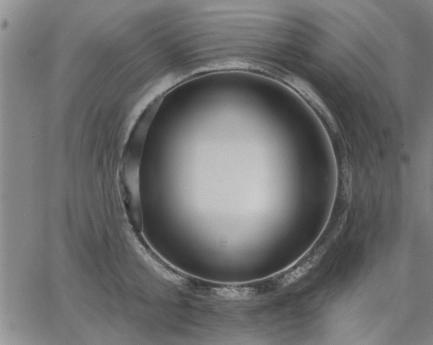 X0000063450805200601271537