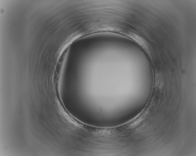 X0000063450806200601271537