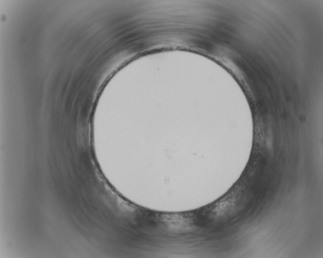 X0000063450807200601271537