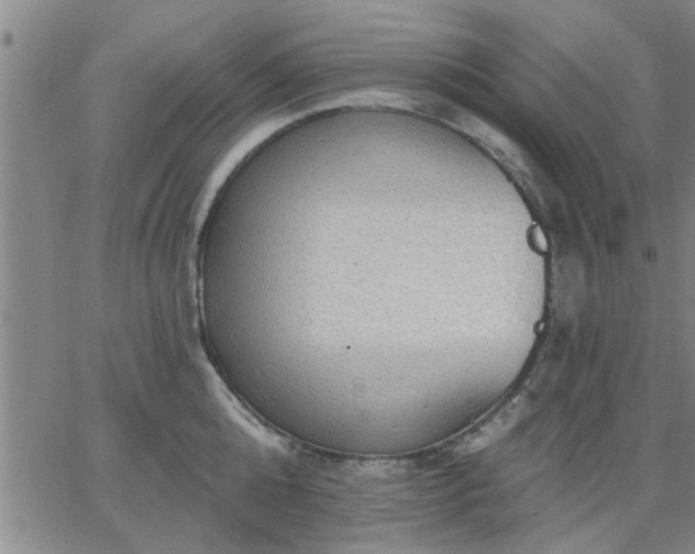 X0000063450808200601271537