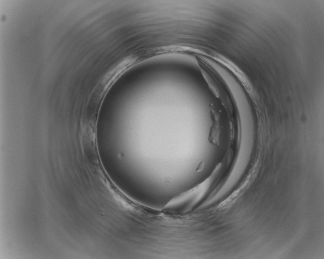 X0000063450809200601271537