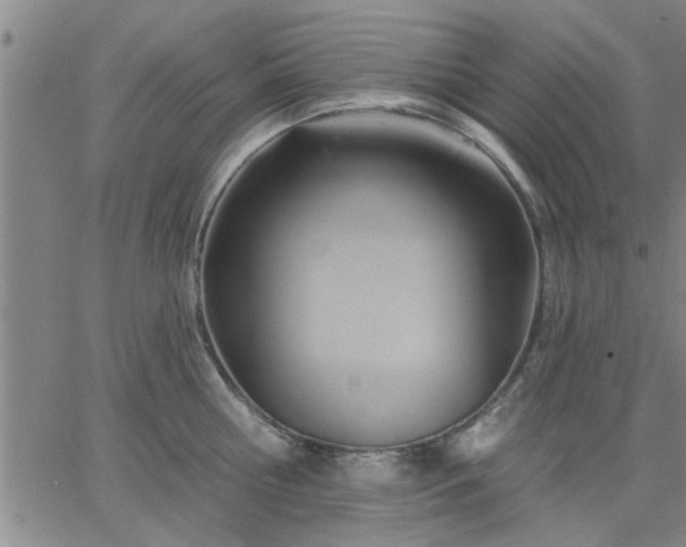 X0000063450810200601271537