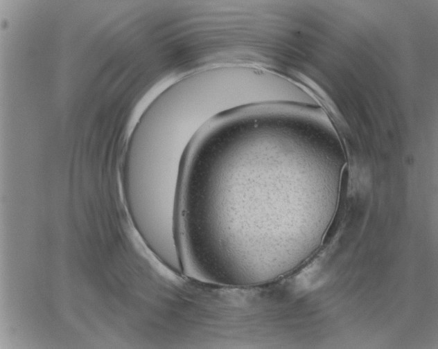 X0000063450812200601271537