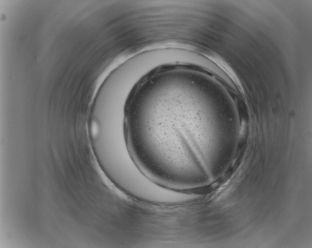 X0000063450813200601271537