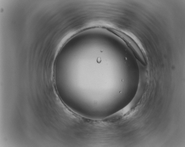 X0000063450815200601271537