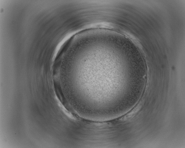 X0000063450816200601271537