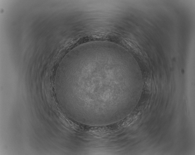 X0000063450817200601271536