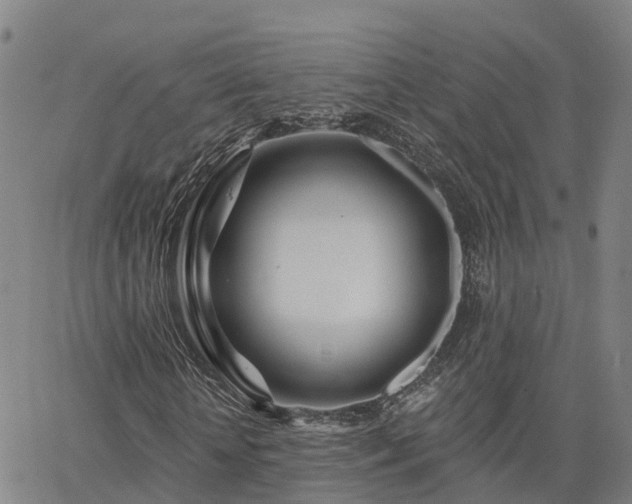 X0000063450818200601271536