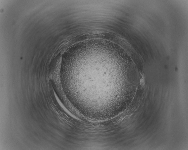 X0000063450819200601271537