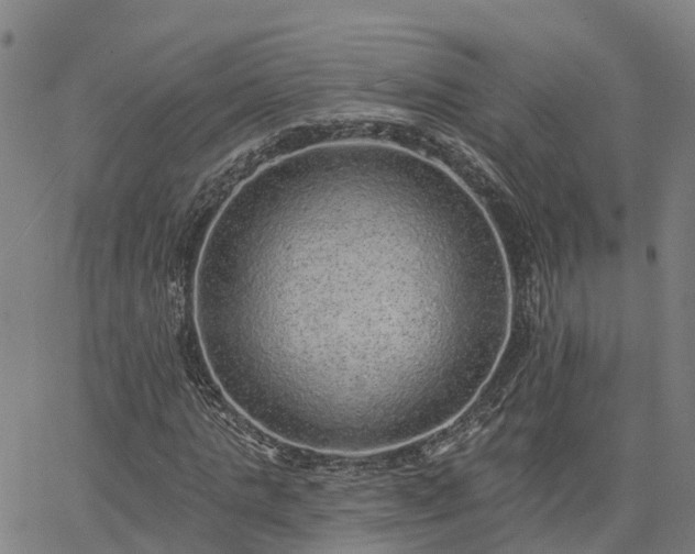 X0000063450821200601271537