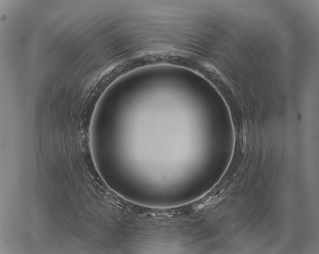 X0000063450822200601271537