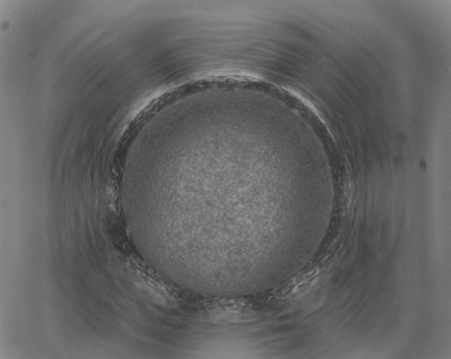 X0000063450823200601271537