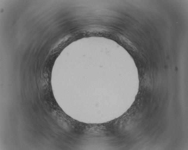 X0000063450824200601271537