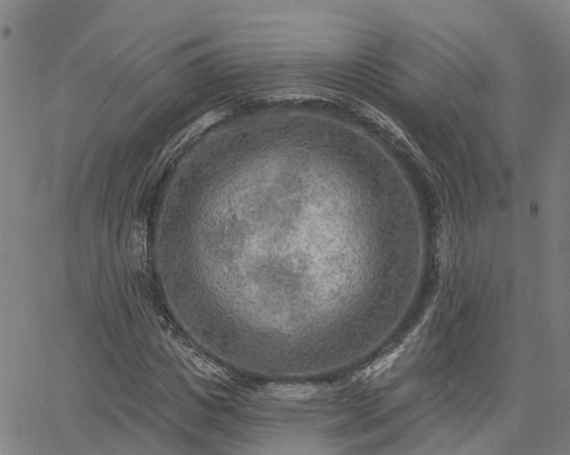 X0000063450825200601271537