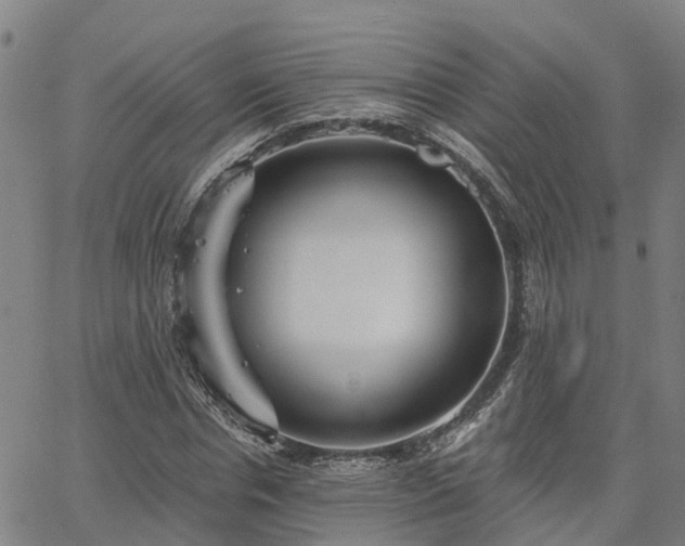 X0000063450826200601271537