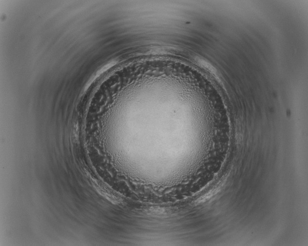 X0000063450827200601271537