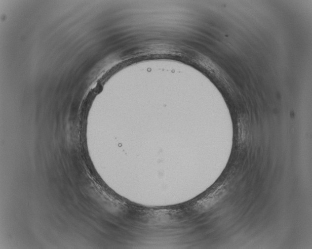 X0000063450828200601271537