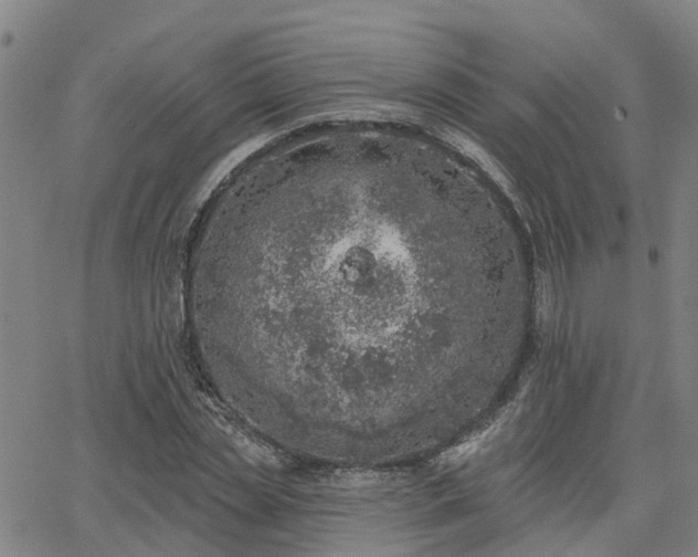 X0000063450829200601271537