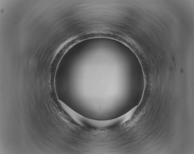 X0000063450830200601271537