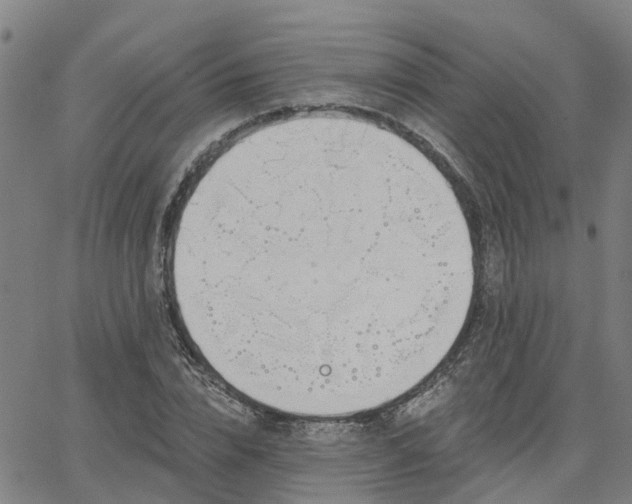 X0000063450832200601271537