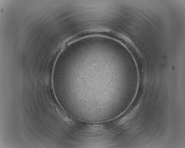 X0000063450833200601271537