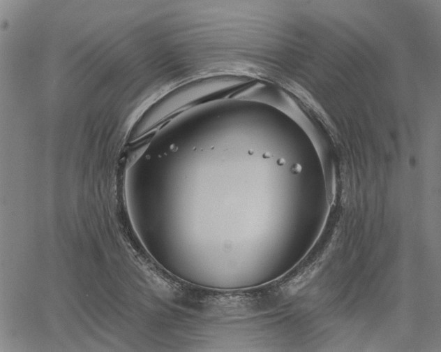 X0000063450834200601271537