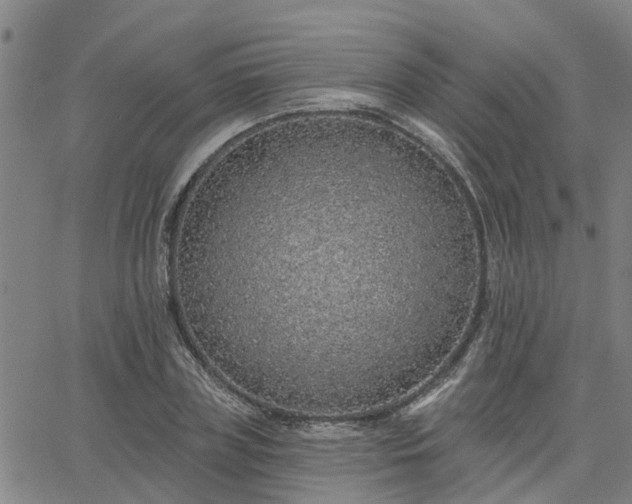 X0000063450835200601271537