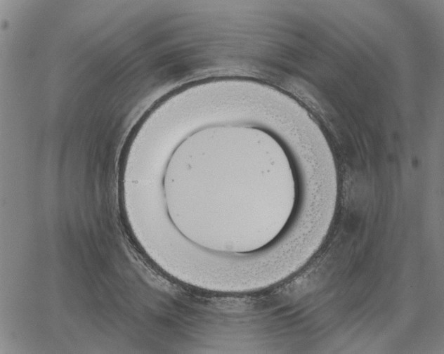 X0000063450836200601271537