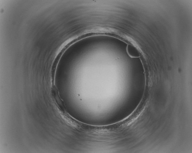 X0000063450837200601271537