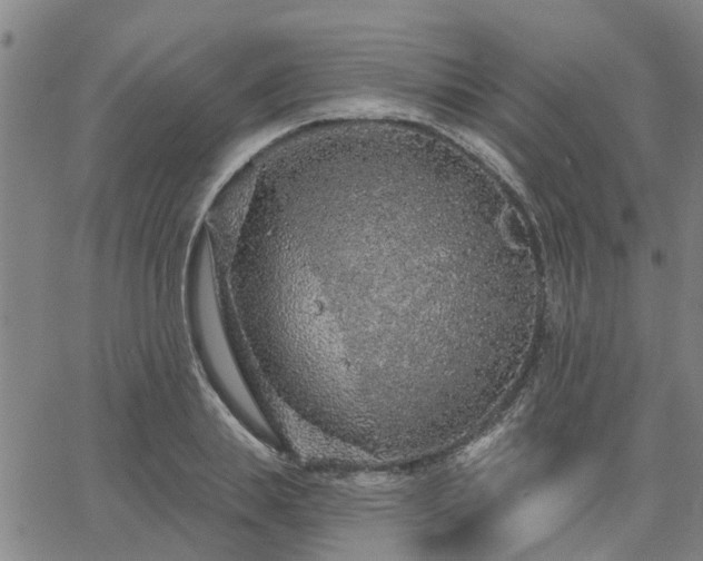 X0000063450839200601271537