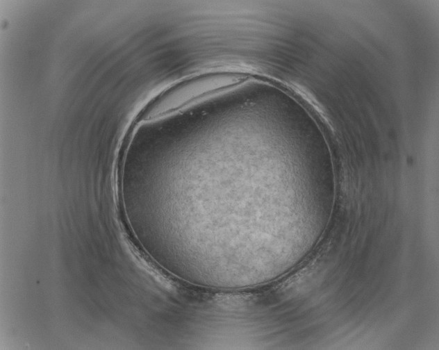 X0000063450840200601271537