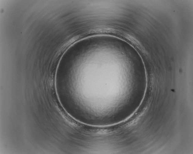 X0000063450841200601271537