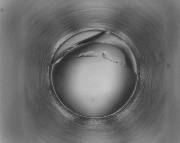 X0000063450842200601271537