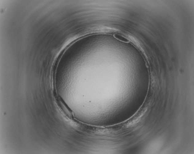 X0000063450843200601271537