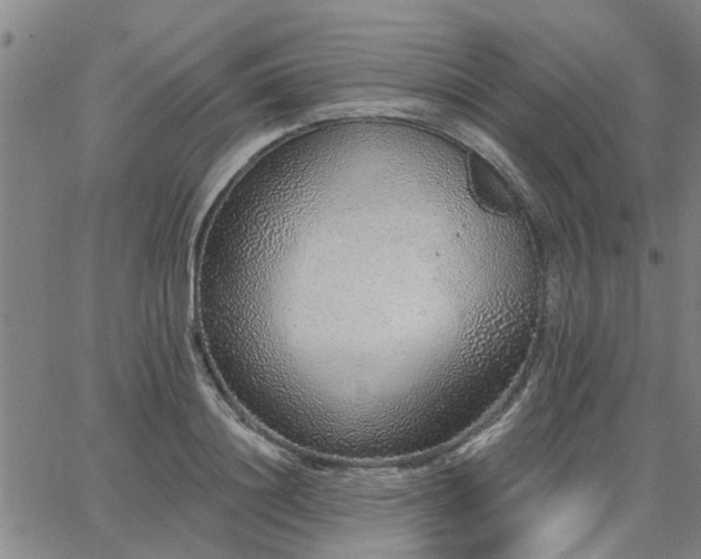 X0000063450844200601271537