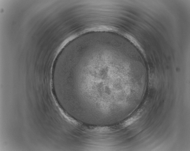 X0000063450845200601271537