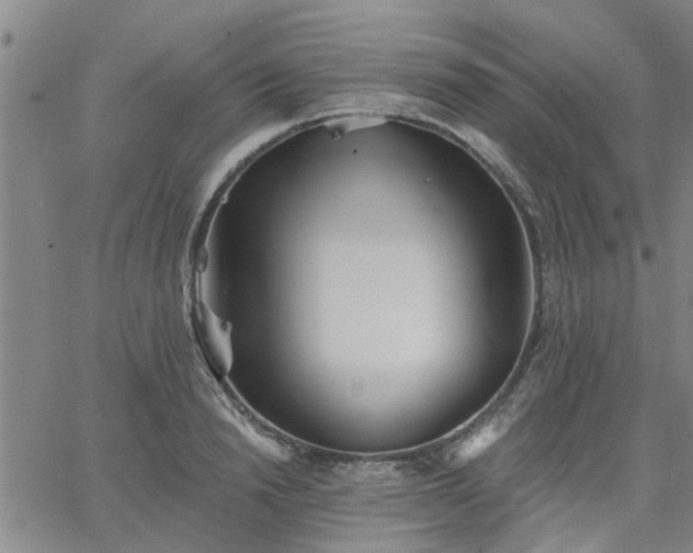 X0000063450846200601271537