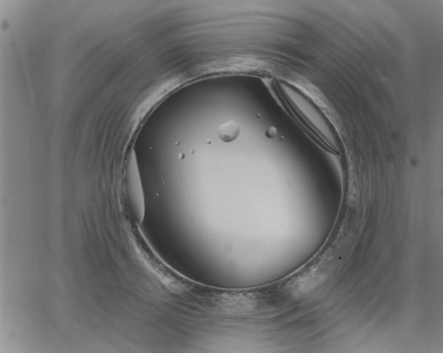 X0000063450850200601271537