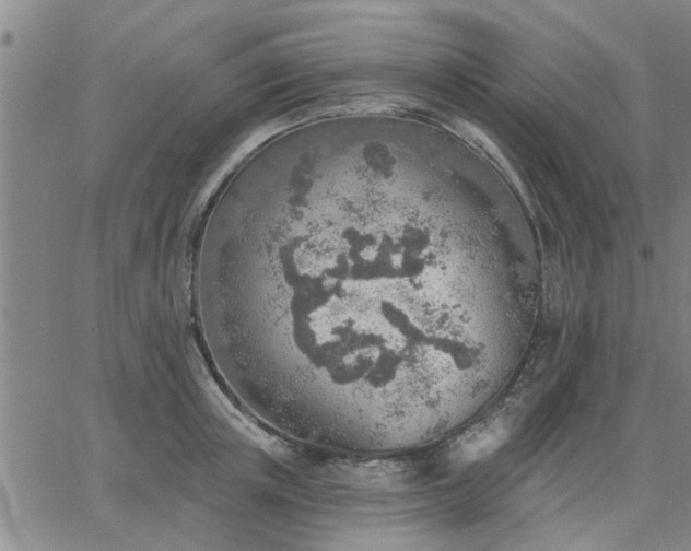 X0000063450851200601271537