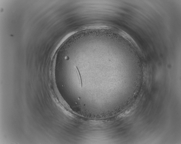 X0000063450852200601271537