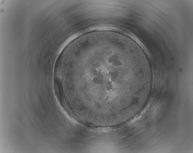 X0000063450853200601271537