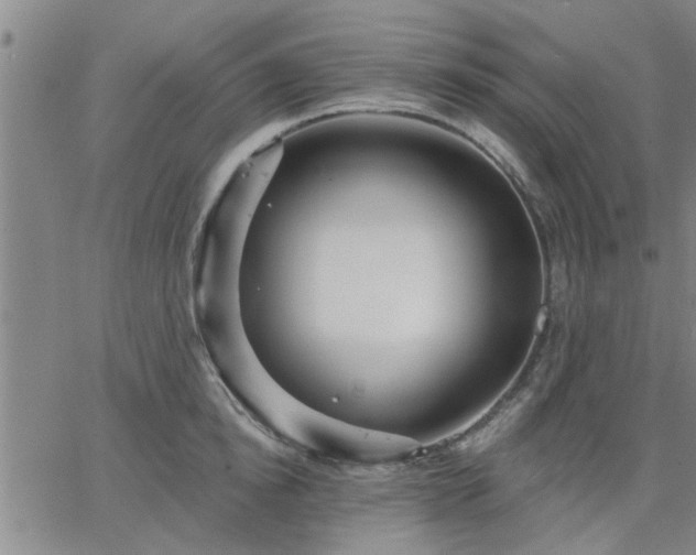 X0000063450854200601271537