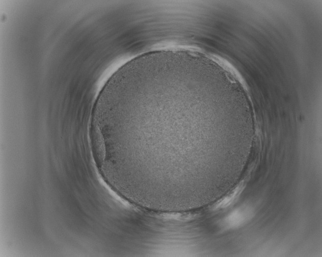 X0000063450855200601271537