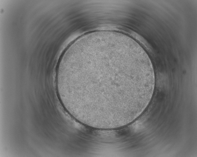 X0000063450856200601271537